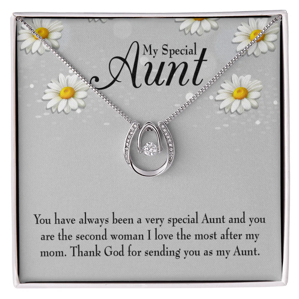 Special Aunt Lucky Horseshoe Necklace Standard Box